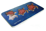 Sea Turtles Seriation puzzle