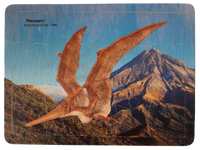 Pterosaur puzzle