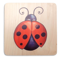 Ladybird puzzle
