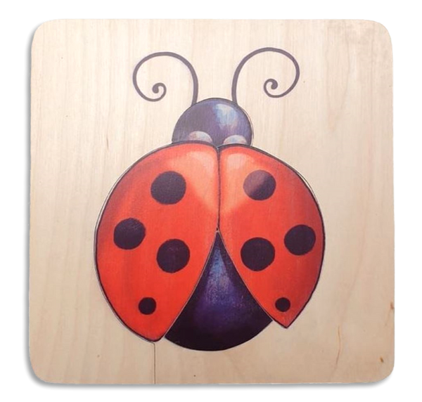 Ladybird puzzle