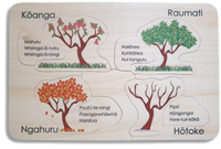 Nga Wahanga o te Tau/Seasons of the Year puzzle