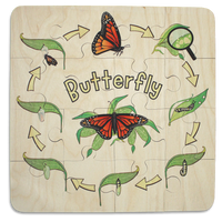 Butterfly Life Cycle puzzle