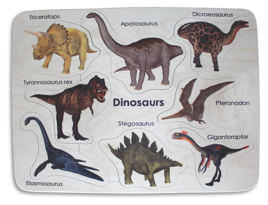 Dinosaurs Kiwi Made Toys Dinosaurs kiwi made toys
