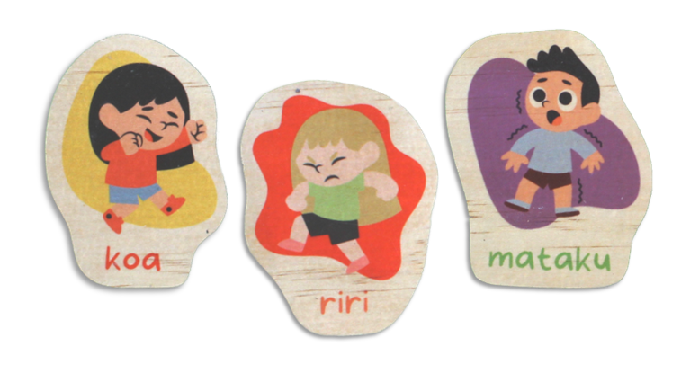 Wooden Emotions Magnet Set – Kiwi Made Toys