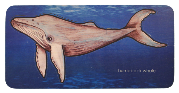 Humpback Whale puzzle