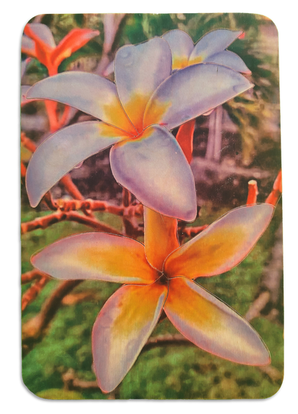 Two Frangipani puzzle