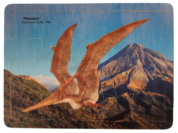 Pterosaur puzzle