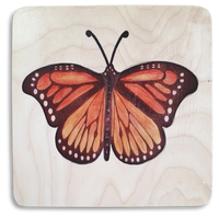 Monarch Butterfly puzzle