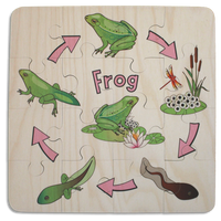 Frog Life Cycle puzzle