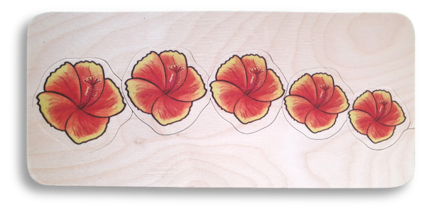 Hibiscus Flowers puzzle
